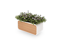 فلاورباکس-برلیانت-تیپ-7714-41 -  - https://mohitara.com